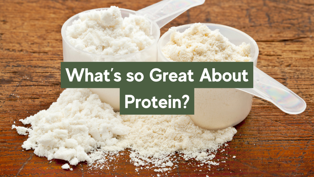 What’s So Great About Protein?